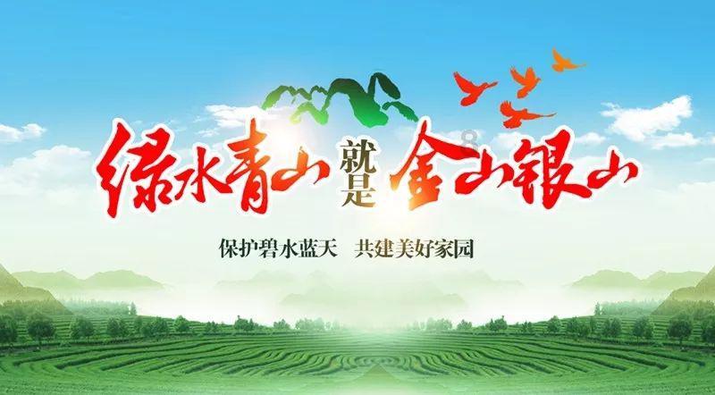 疯狂的小猫