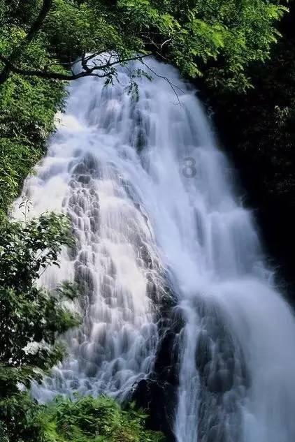 企鹅回城5之飞渡横木